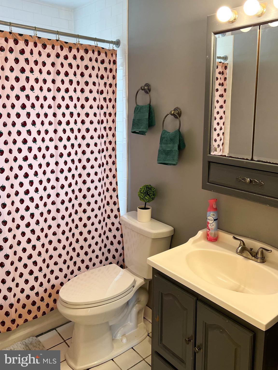 105 West Village Road Elkton, MD 21921 - Photo 9 of 32 a bathroom with a sink toilet and shower