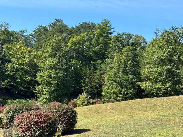 a view of ocean view