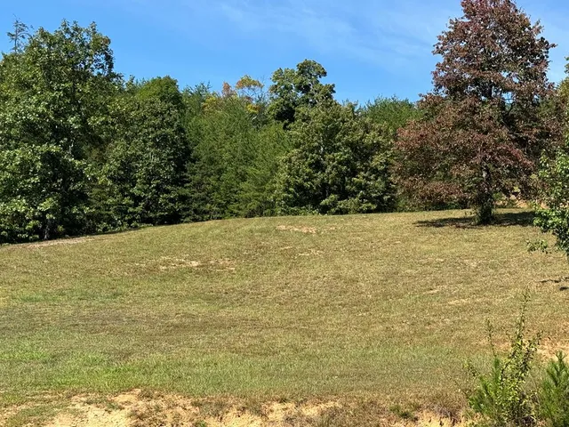 a view of a lake view