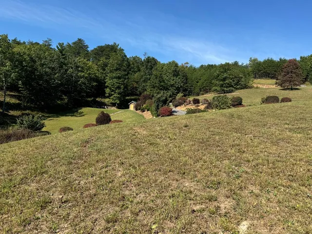 a view of a yard with a tree