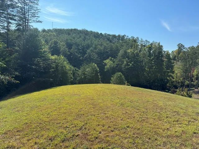 a view of outdoor space and mountain view