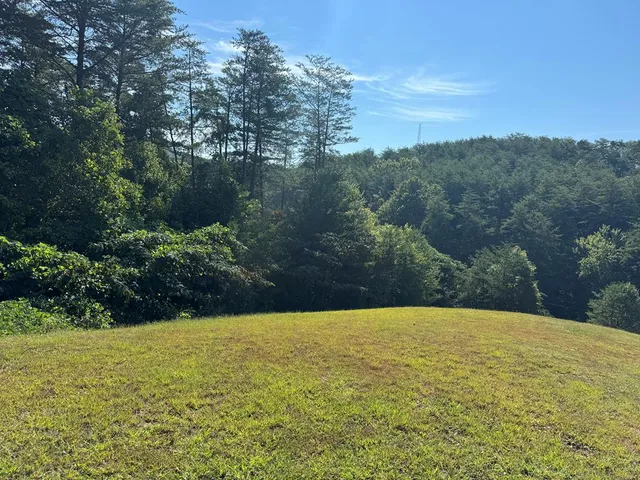 a view of an outdoor space and a yard