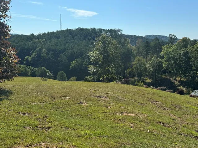 a view of outdoor space and yard