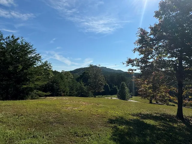 a view of outdoor space and yard