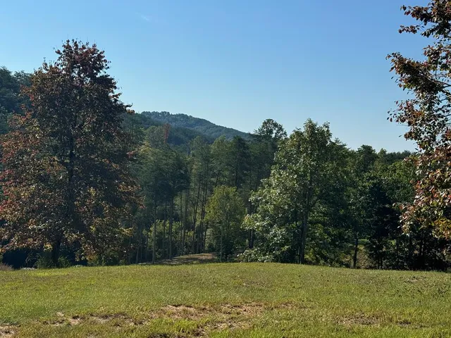 a view of a green field with trees