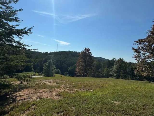 a view of backyard with green space