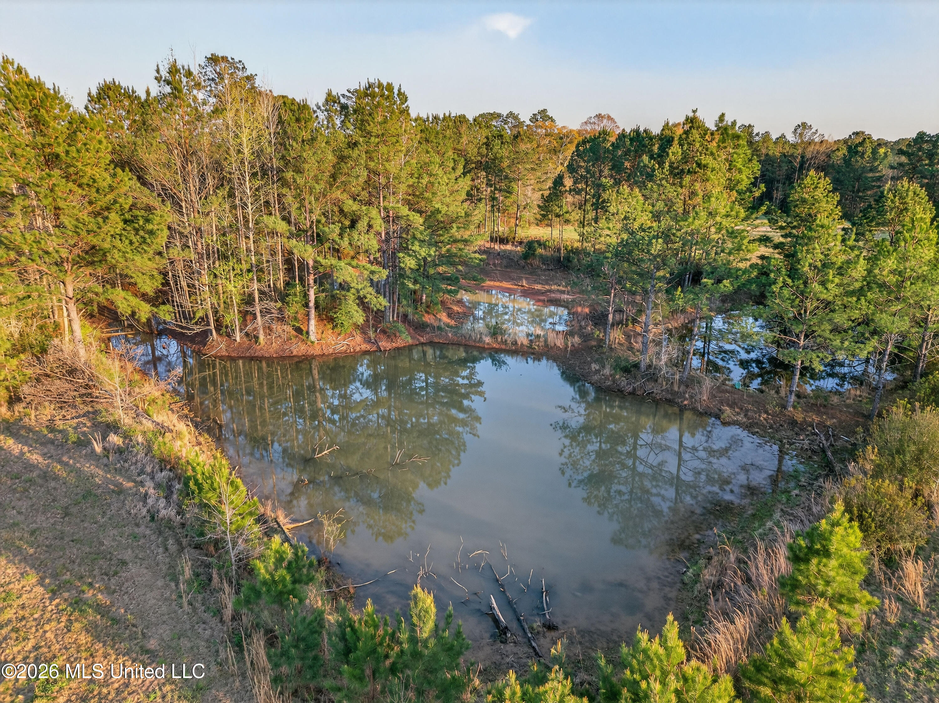 1059 Thomas School Road Lumberton, MS 39455 - Photo 46 of 50 Aerial4pond