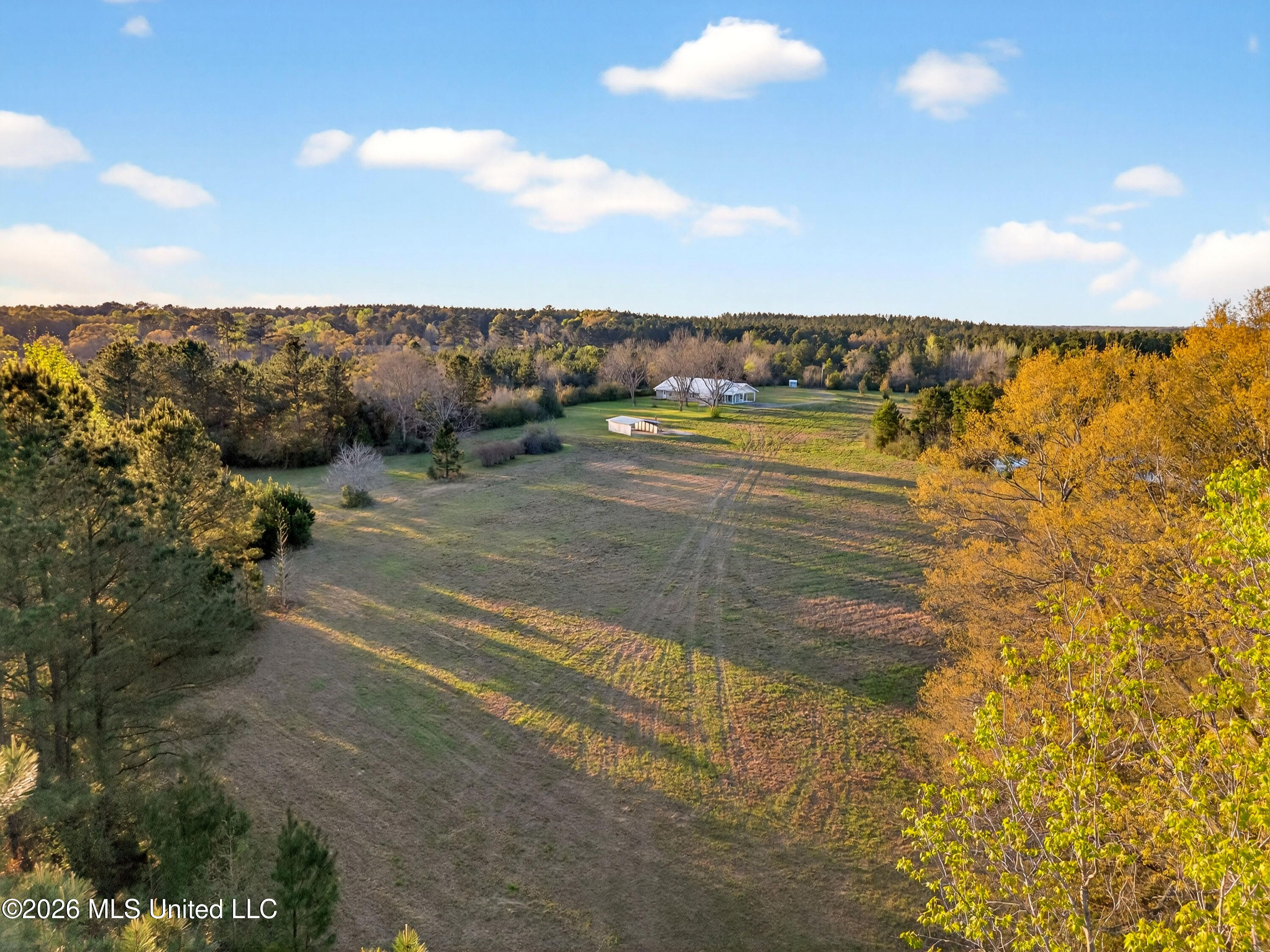 1059 Thomas School Road Lumberton, MS 39455 - Photo 47 of 50 Aerial7