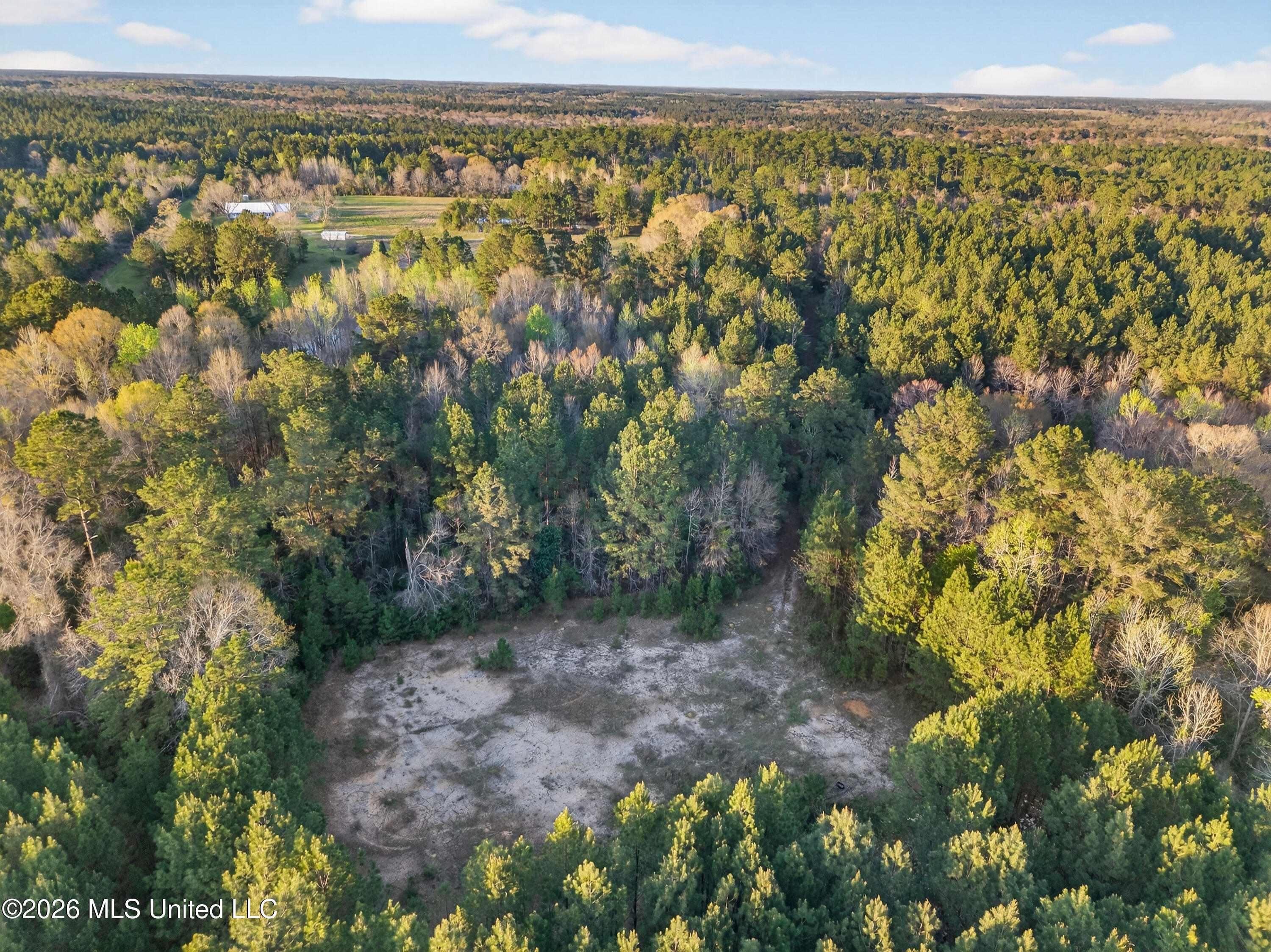 1059 Thomas School Road Lumberton, MS 39455 - Photo 49 of 50 Aerial9clearedspace