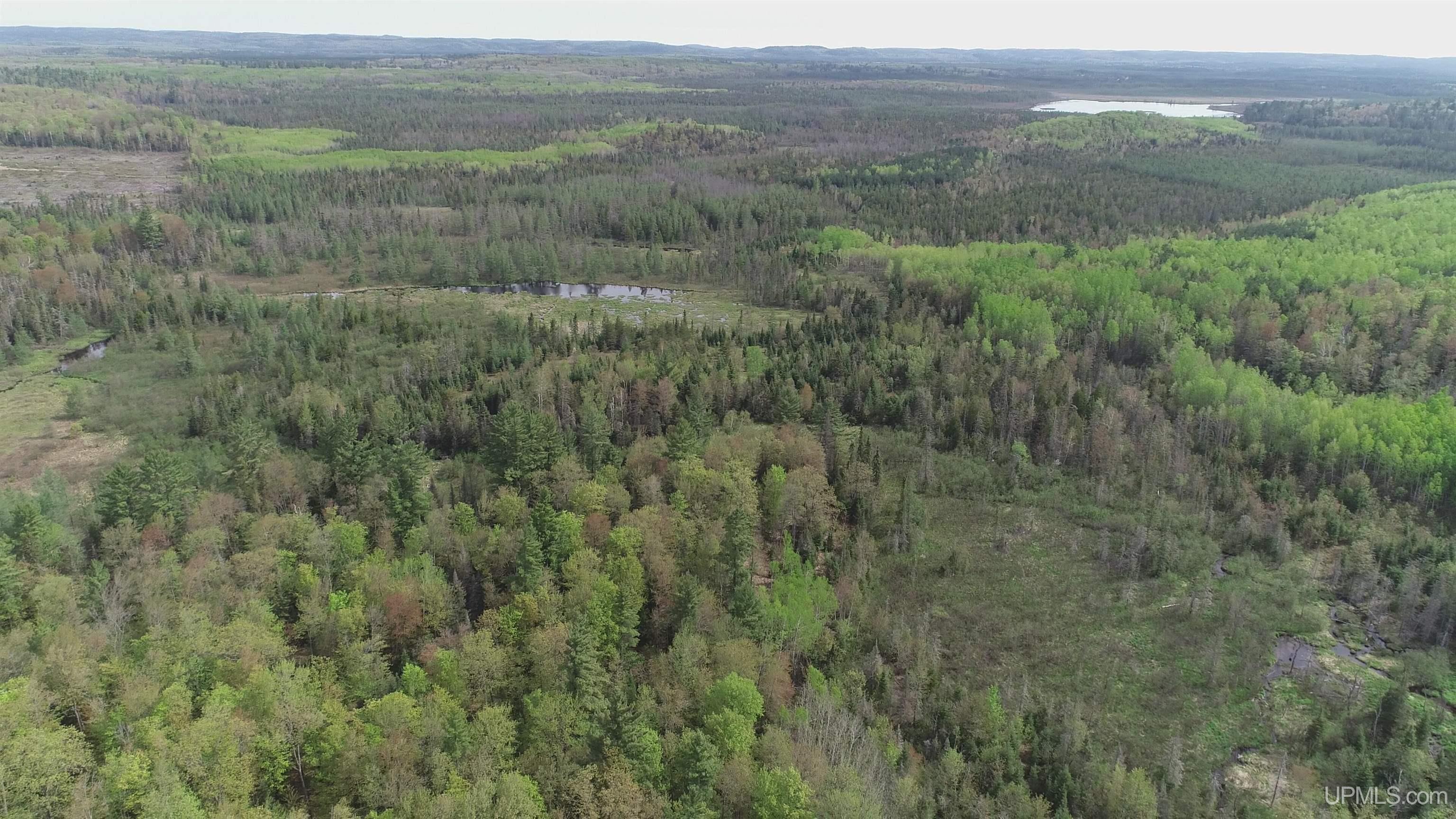 280-acres County Road CCN Road Negaunee, MI 49866 - Photo 15 of 48