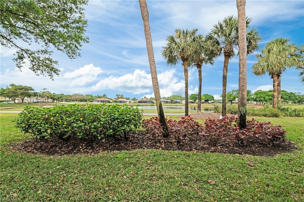 26450 Sunderland Drive, Unit 2102 Bonita Springs, FL 34135 - Photo 20 of 42 a view of a garden with a tree