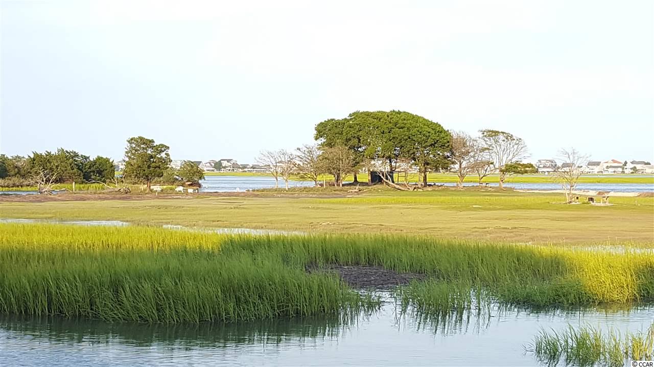 609 Sailbrooke Court, Unit 103 Murrells Inlet, SC 29576 - Photo 22 of 23 Gallery Image 22