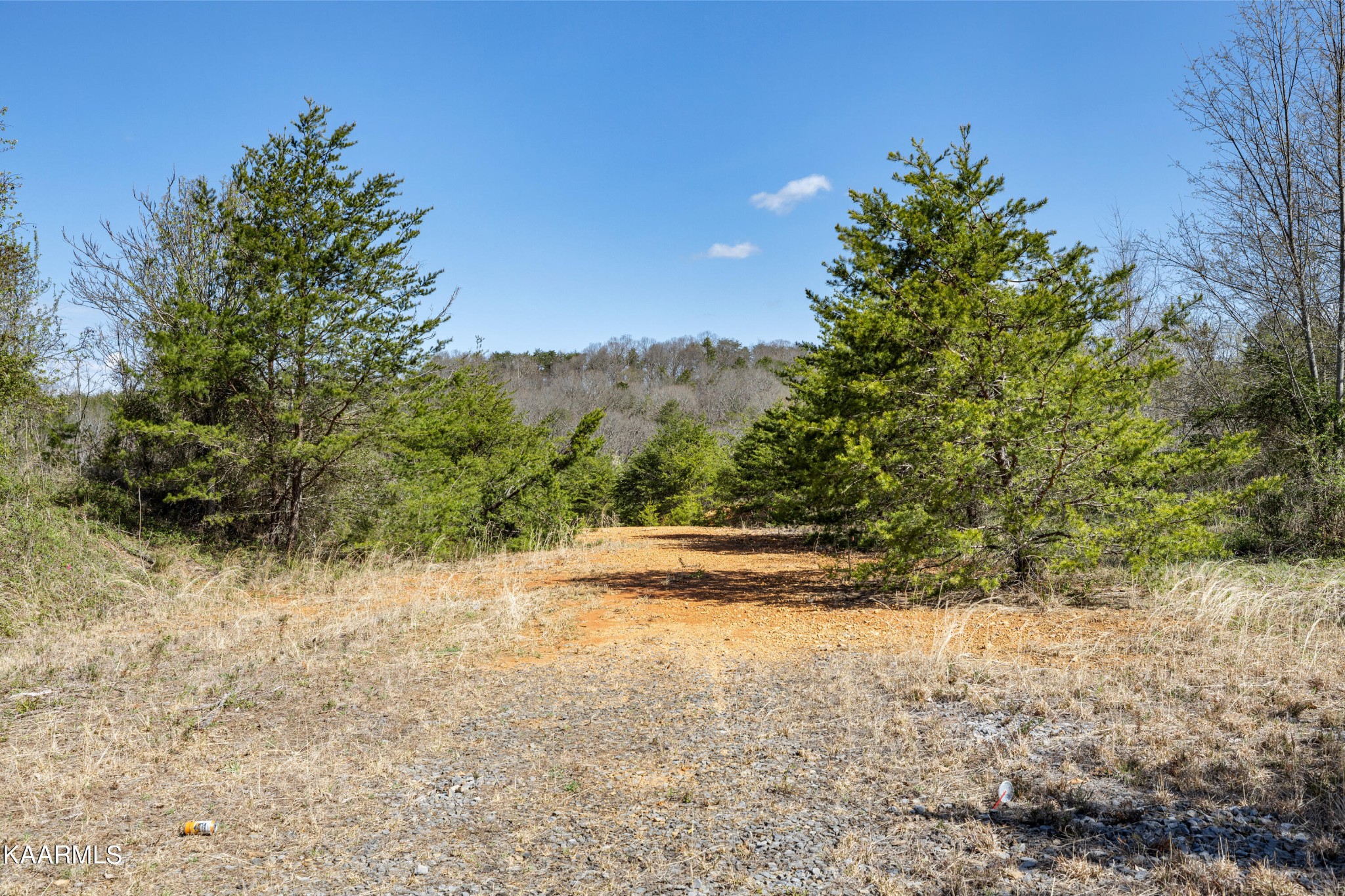 42 Piney Road Kodak, TN 37764 - Photo 3 of 12
