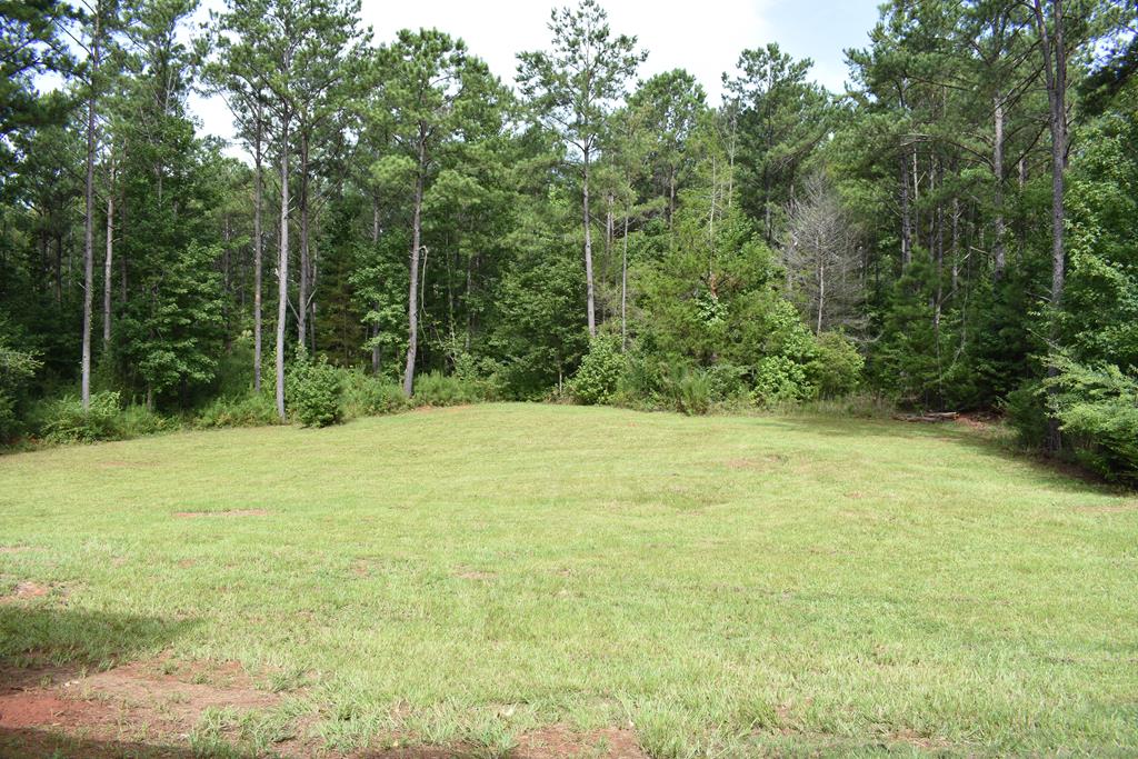 498 Valley Rescue Mission Road Hamilton, GA 31811 - Photo 8 of 36 Gallery Image 8
