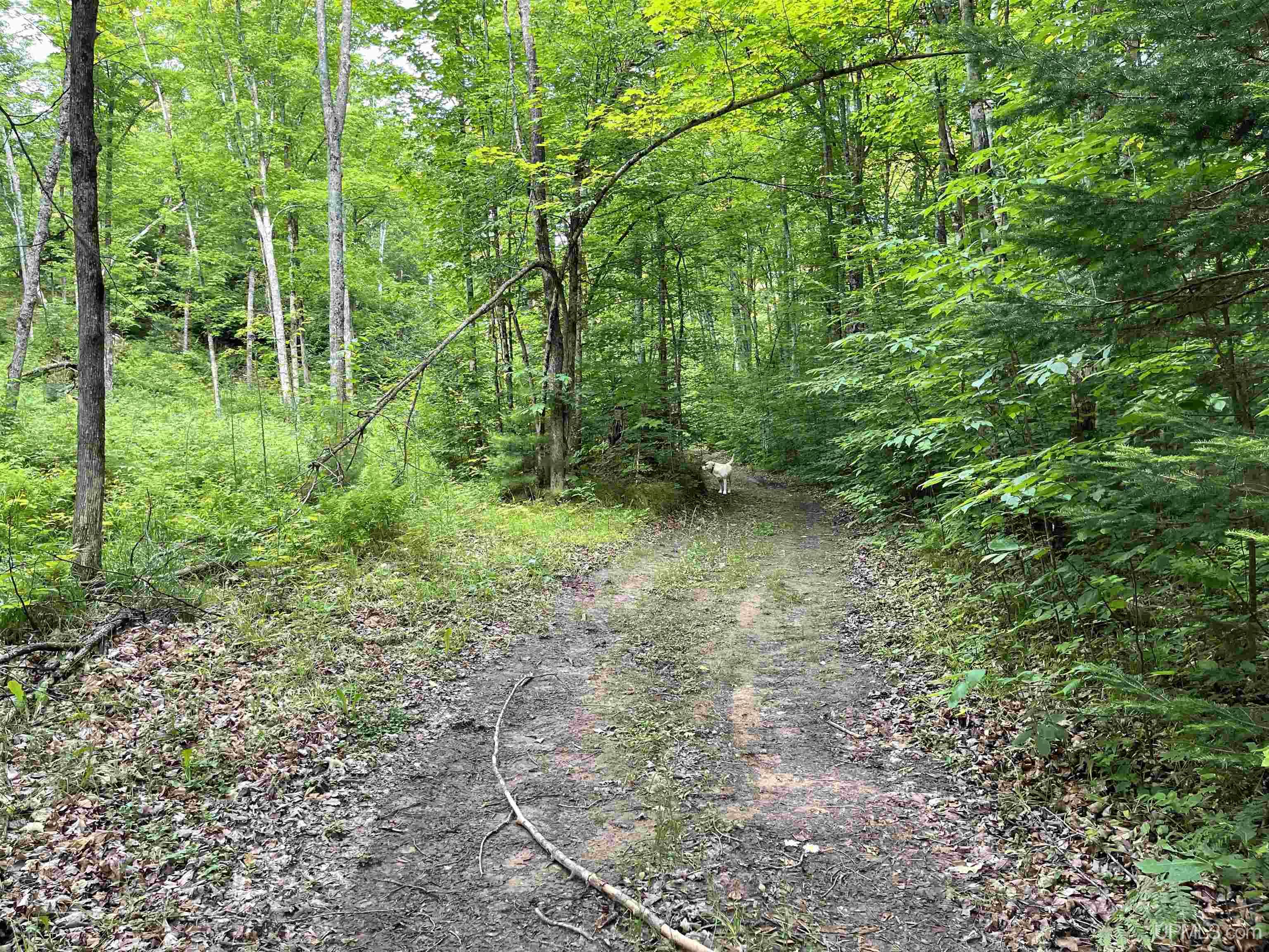 17-ac Cooper Lake Road Ishpeming, MI 49849 - Photo 3 of 10