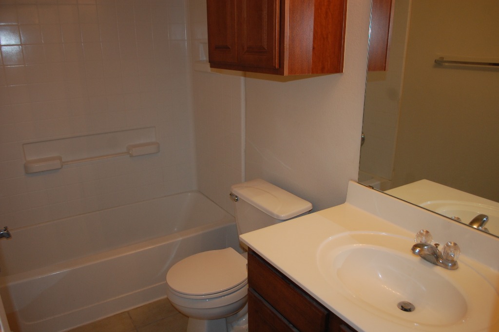 11300 Dimmit Street Manor, TX 78653 - Photo 17 of 23 A well-maintained full bathroom offers a tub/shower combination, commode, and vanity with an overhead medicine cabinet.