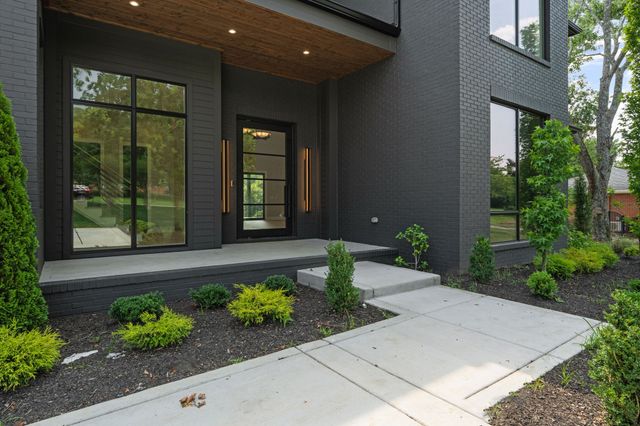 a view of backyard with large trees and plants