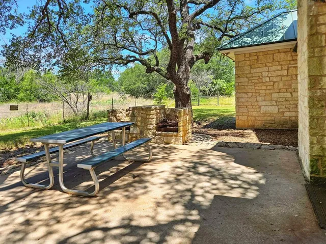 a view of backyard with tree