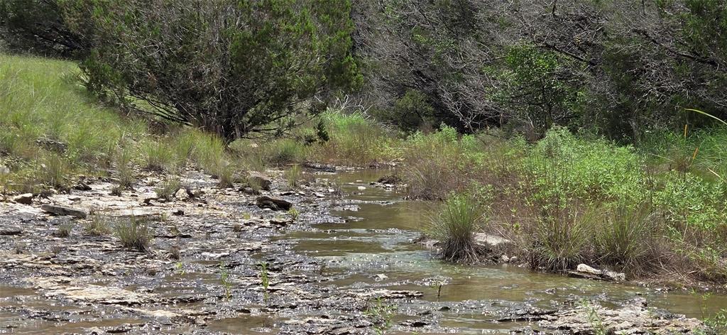 895 Pr 202 / Highway Hamilton, TX 76531 - Photo 27 of 40 a view of a forest with trees