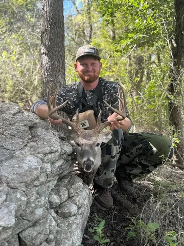 a view of a backyard of the house