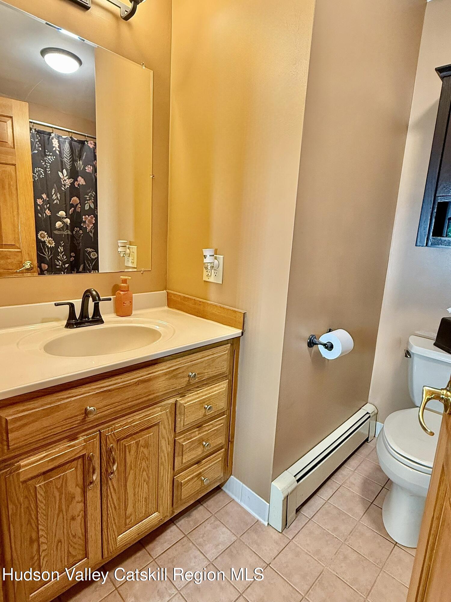 485 Potic Mountain Road Catskill, NY 12414 - Photo 14 of 46 a bathroom with a sink a toilet a mirror and shower