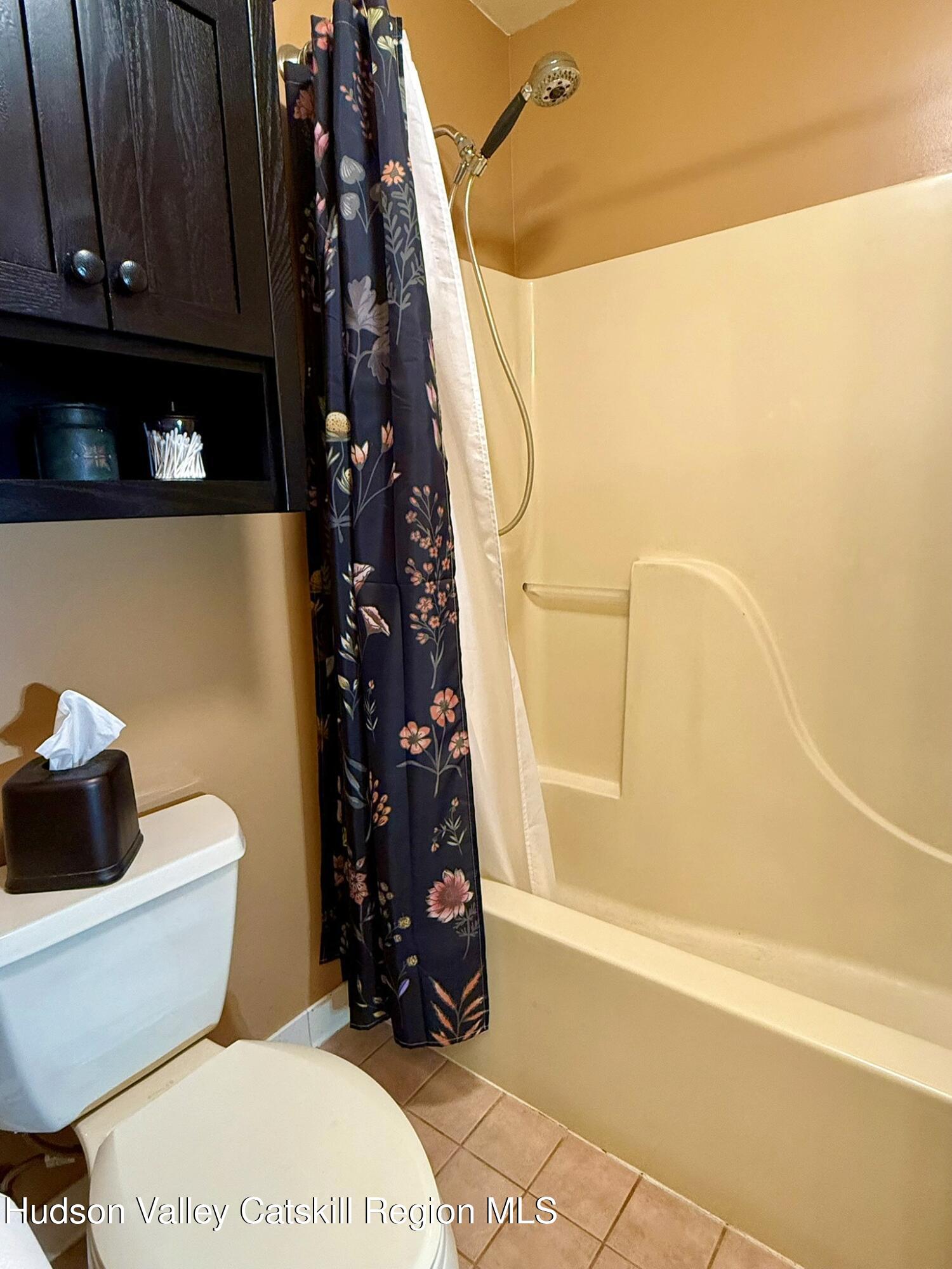 485 Potic Mountain Road Catskill, NY 12414 - Photo 15 of 46 a bathroom with a toilet and shower