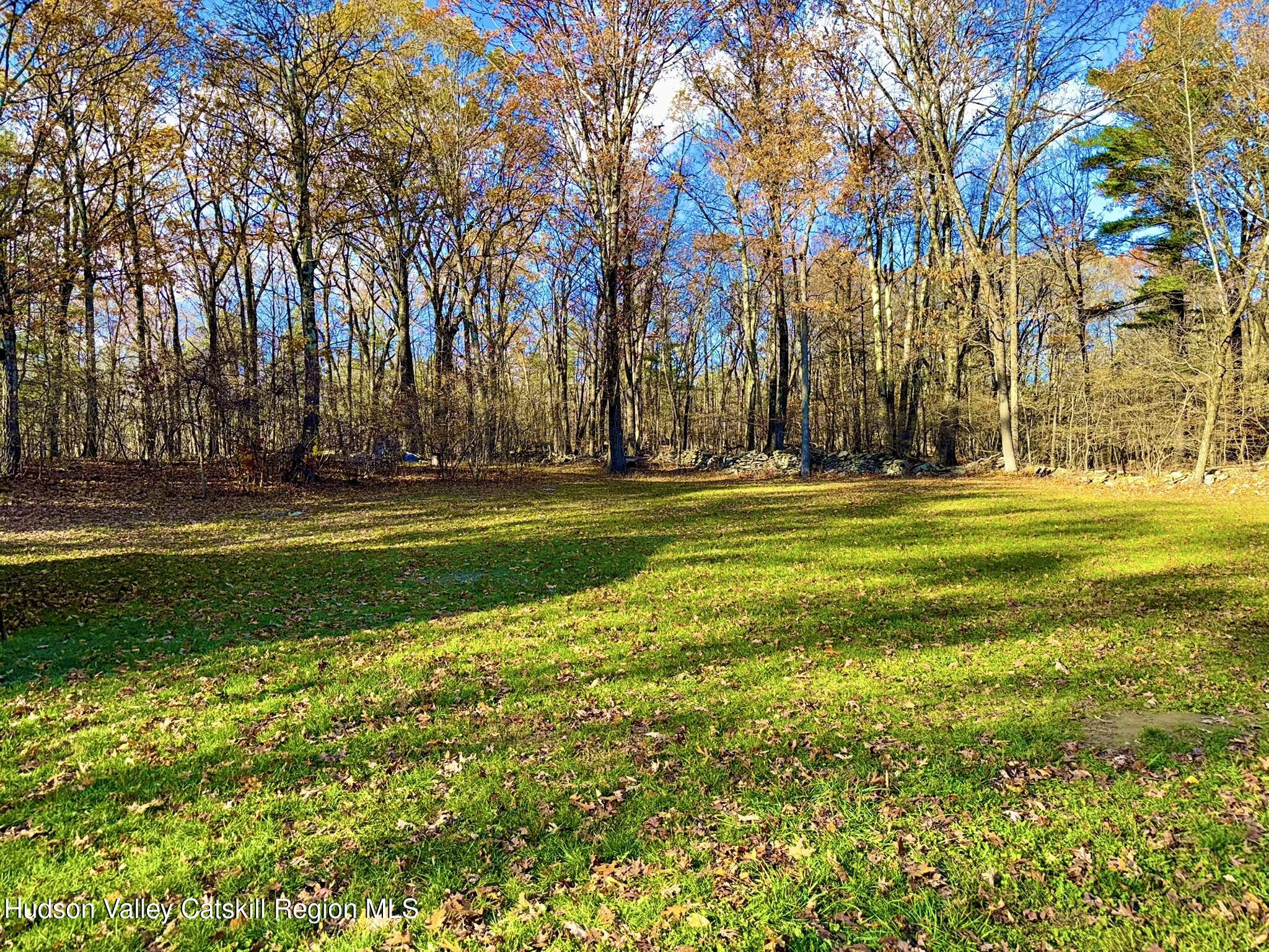 485 Potic Mountain Road Catskill, NY 12414 - Photo 37 of 46 a yard with lots of trees and plants