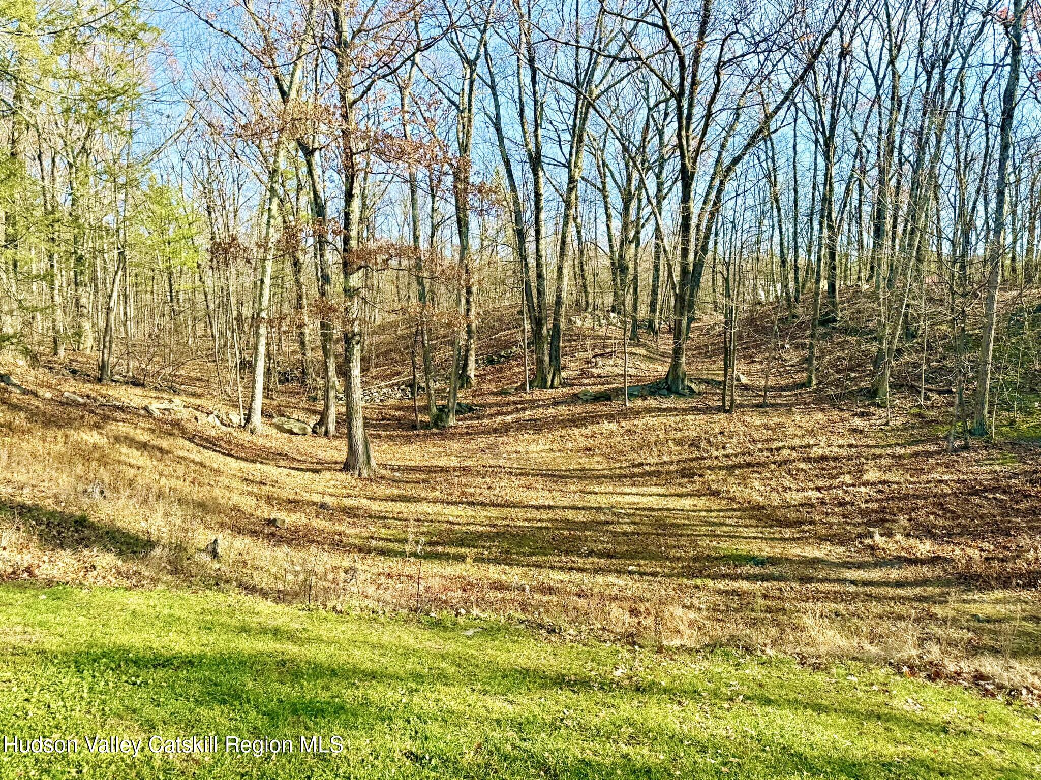 485 Potic Mountain Road Catskill, NY 12414 - Photo 38 of 46 a view of empty space with trees