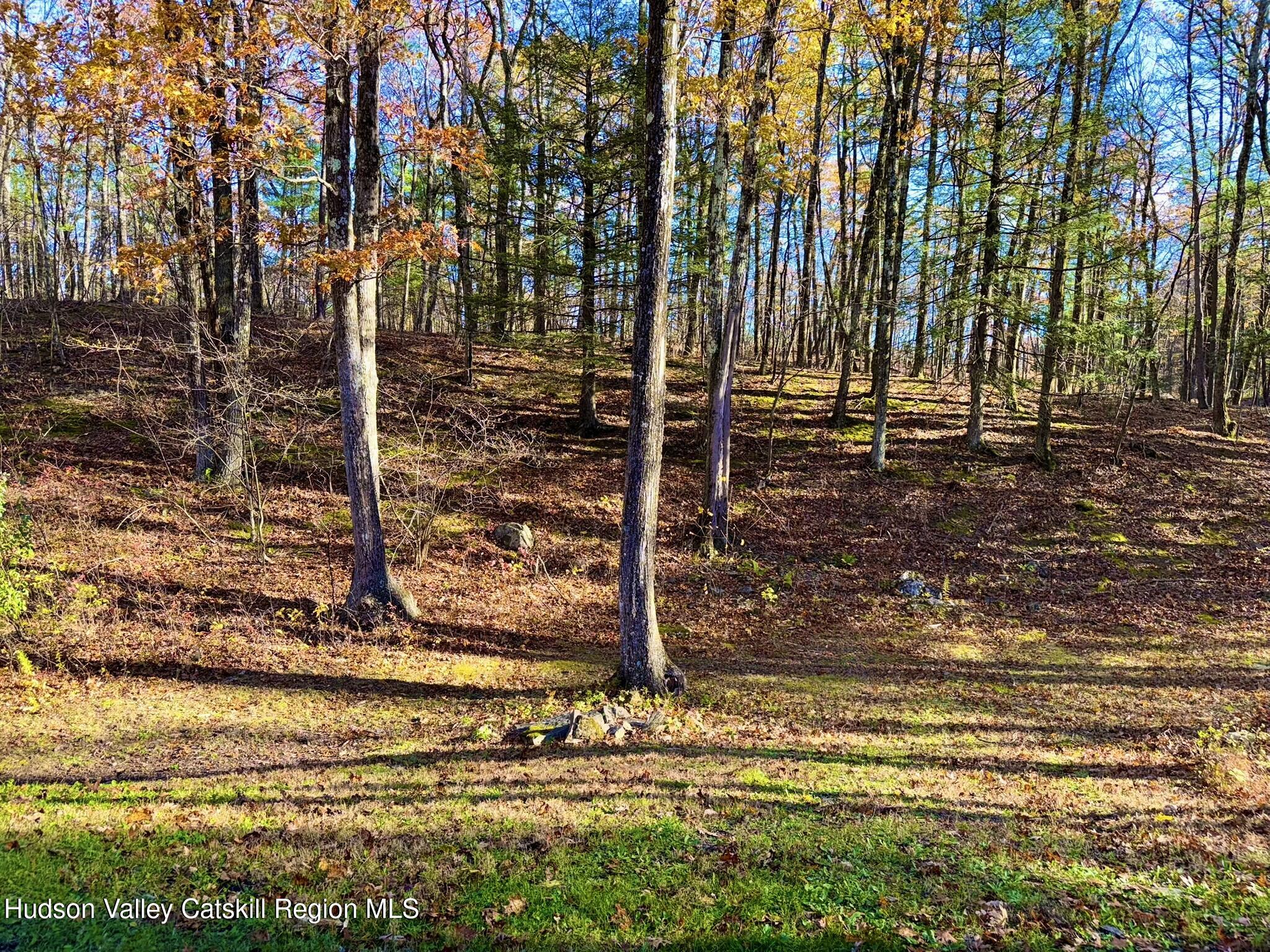 485 Potic Mountain Road Catskill, NY 12414 - Photo 39 of 46 a view of outdoor space with street