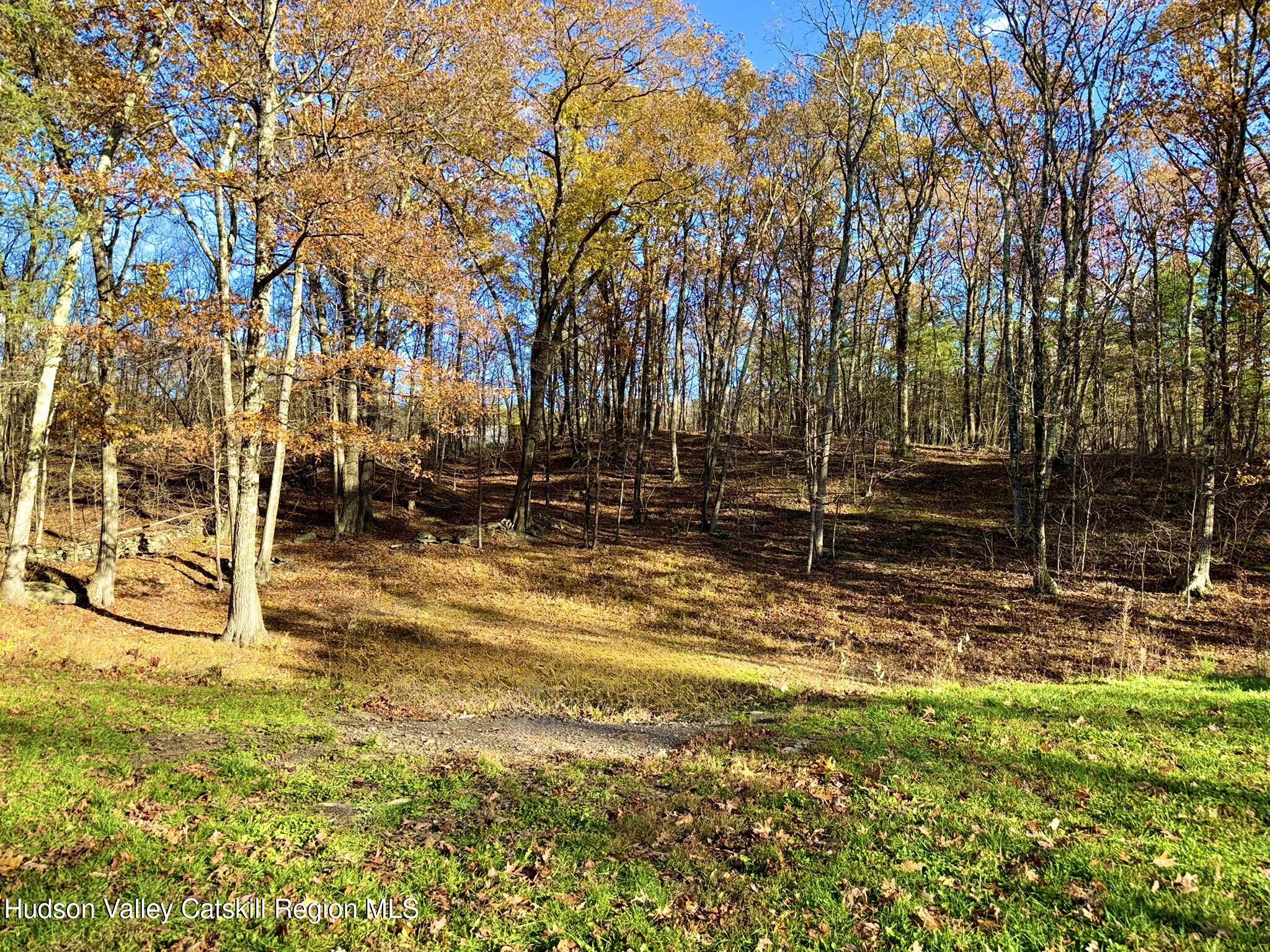 485 Potic Mountain Road Catskill, NY 12414 - Photo 40 of 46 a view of yard and tree
