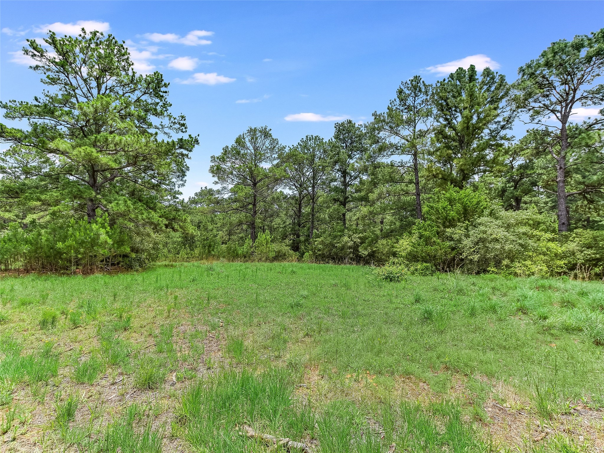 Tbd Sandy Road Rosanky, TX 78953 - Photo 1 of 1 Gallery Image 1