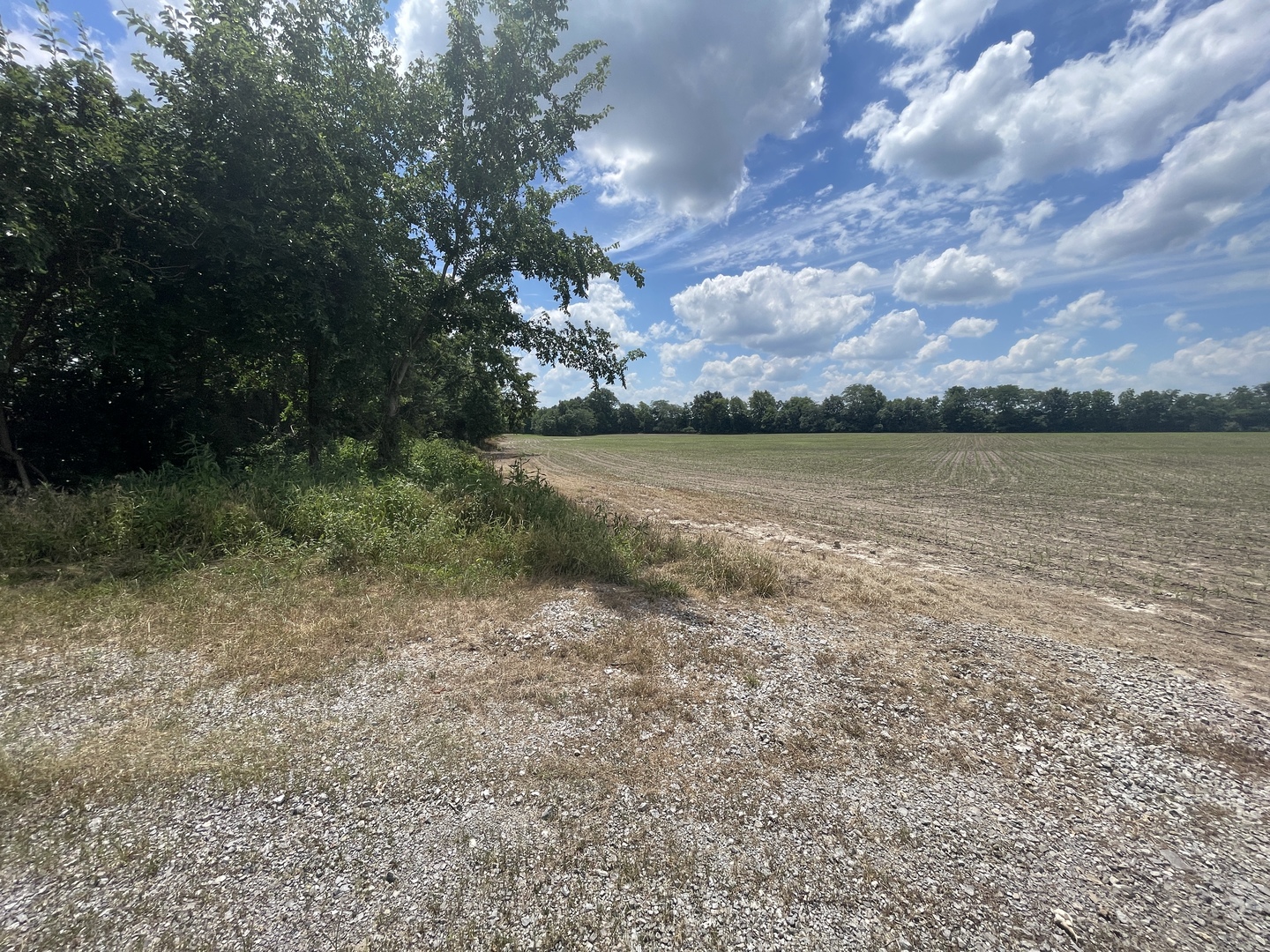 Tbd Old Bainbridge Road Marion, IL 62959 - Photo 2 of 3