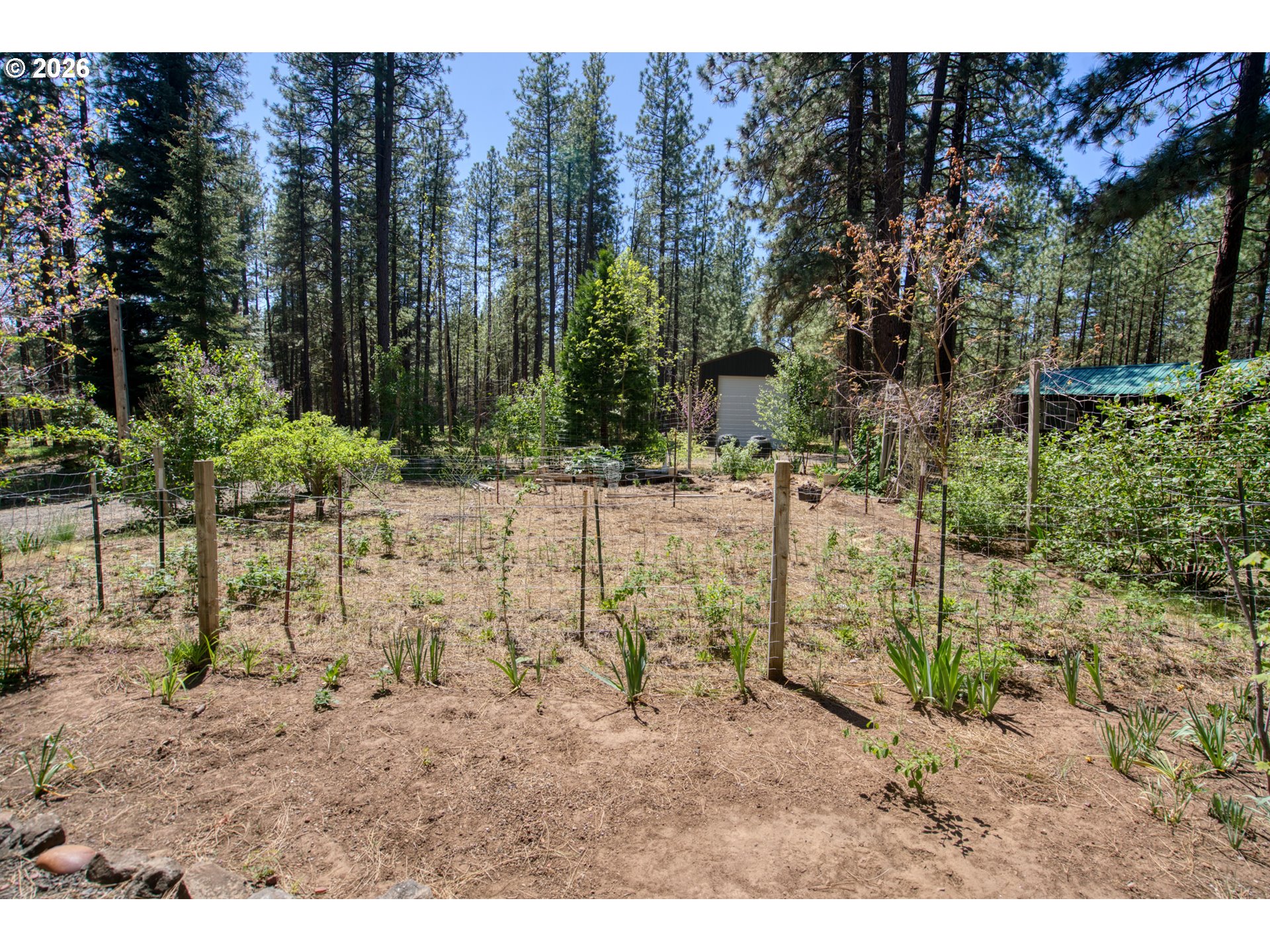 179 Box Canyon Road Goldendale, WA 98620 - Photo 9 of 48 Garden