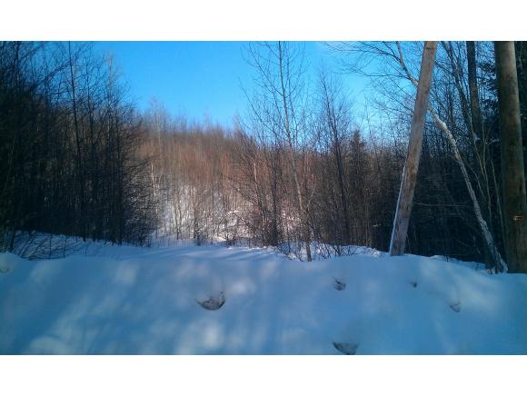 1128 Vertical Mile Road Wheelock, VT 05851 - Photo 2 of 9 Gallery Image 2