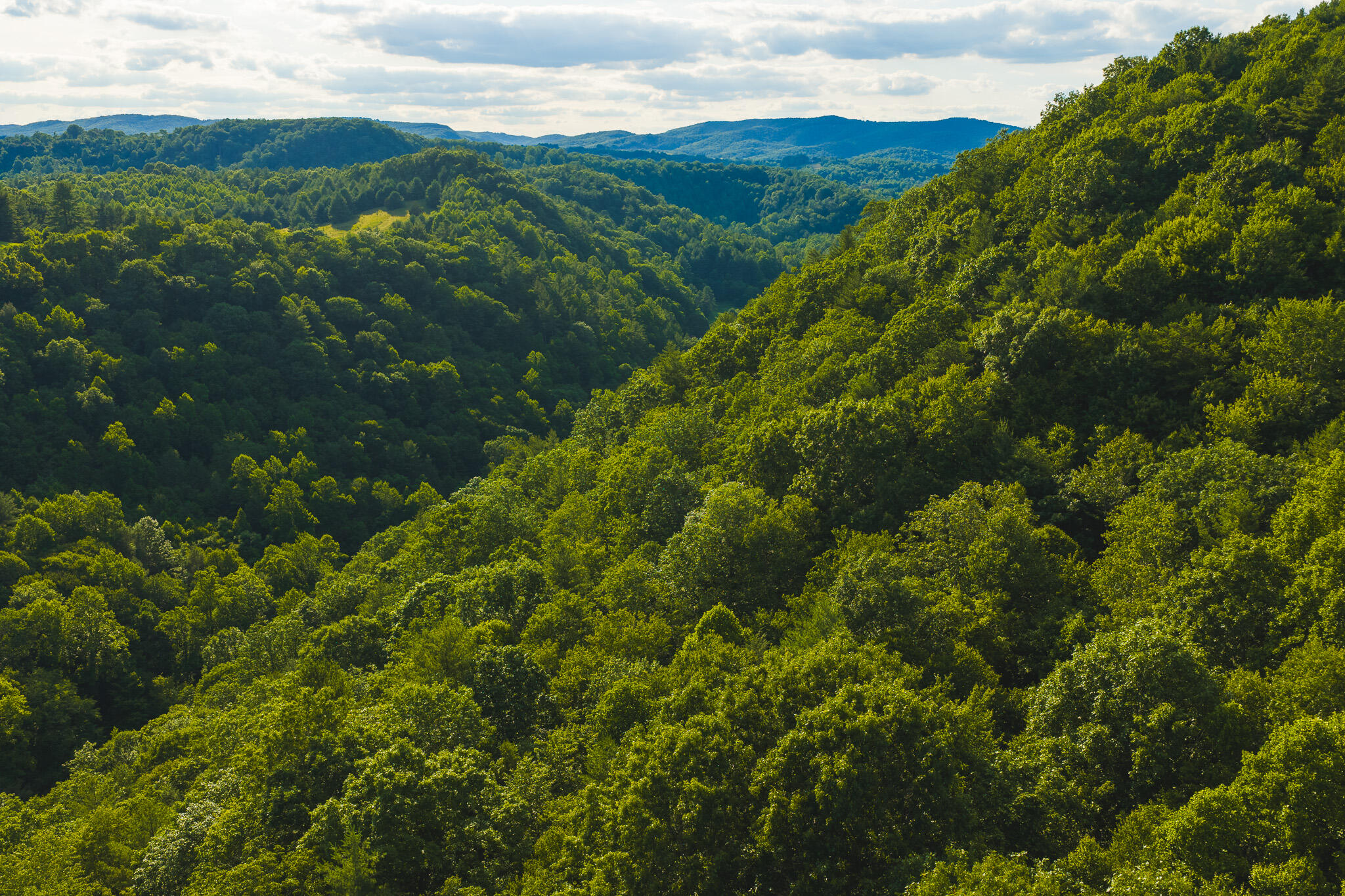 Tbd Sawmill Hill Road Northwest Willis, VA 24380 - Photo 14 of 40 a view of a lush green forest with mountains in the background
