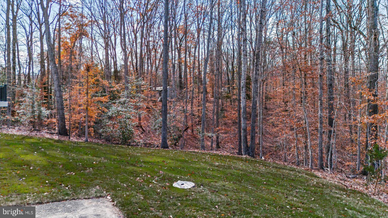 209 Doc Stone Road Stafford, VA 22556 - Photo 34 of 43 209 Doc Stone Rd, Nearly 2 acPeaceful wooded views