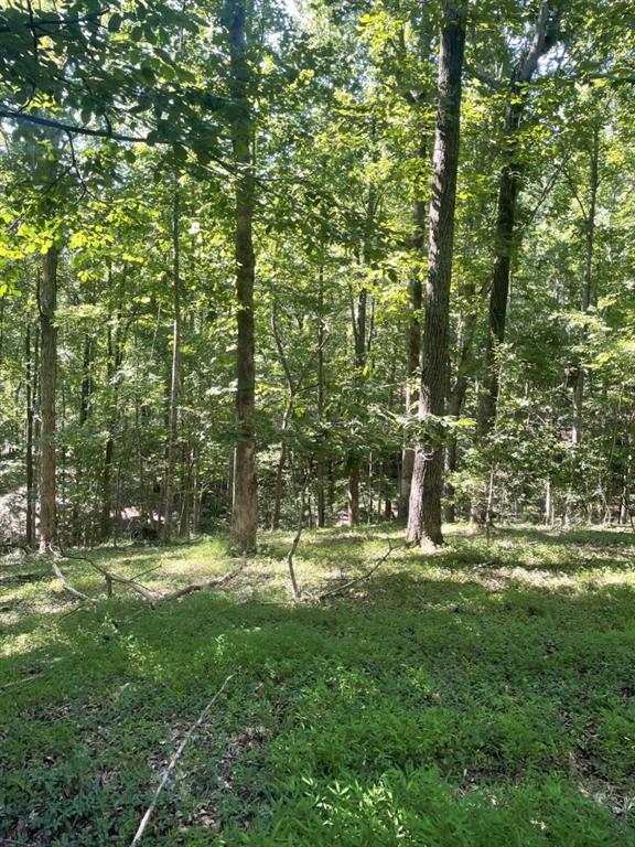 988 Rocktree Road Dahlonega, GA 30533 - Photo 47 of 53
