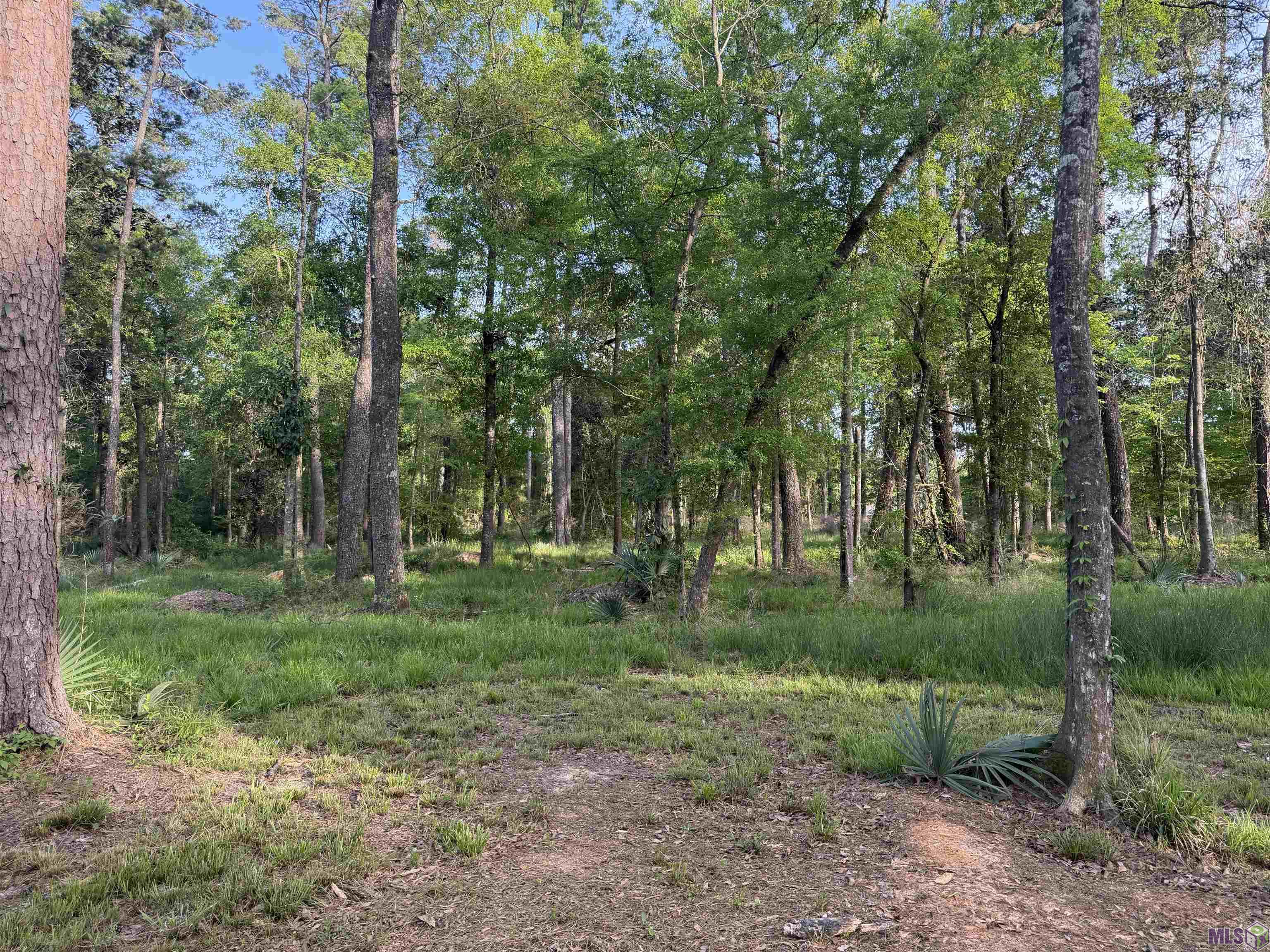 1-b-2-a-4 Clinton Allen Road Denham Springs, LA 70706 - Photo 3 of 5 Gallery Image 3