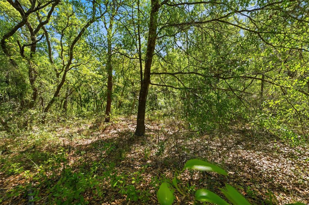 0 Coyote Road Hudson, FL 34669 - Photo 11 of 13