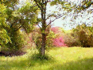 0 Little Sandy Road Prather, CA 93651 - Photo 1 of 1 Gallery Image 1