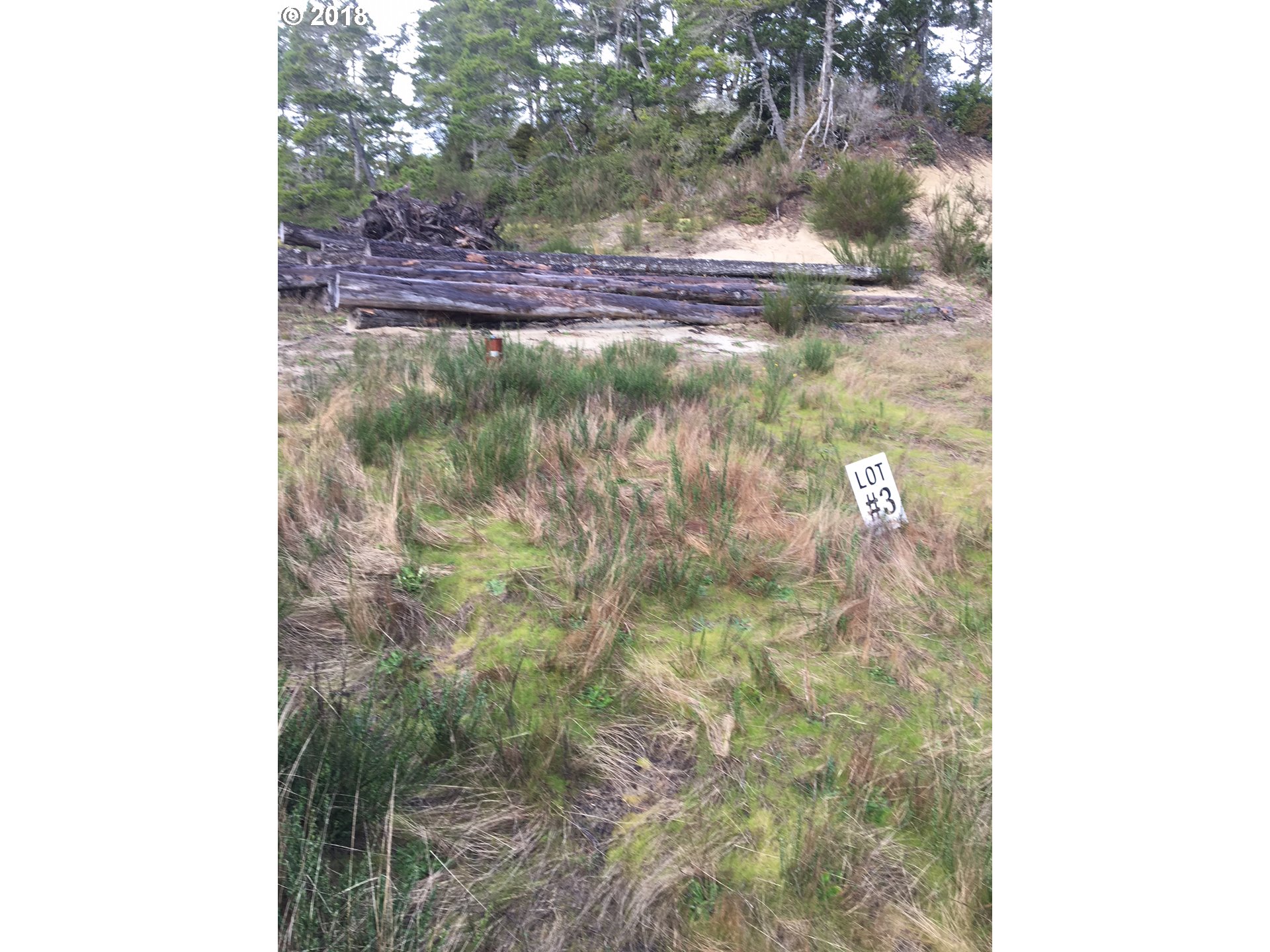 Cedar Dunes, Unit 3 Florence, OR 97439 - Photo 11 of 16 Gallery Image 11