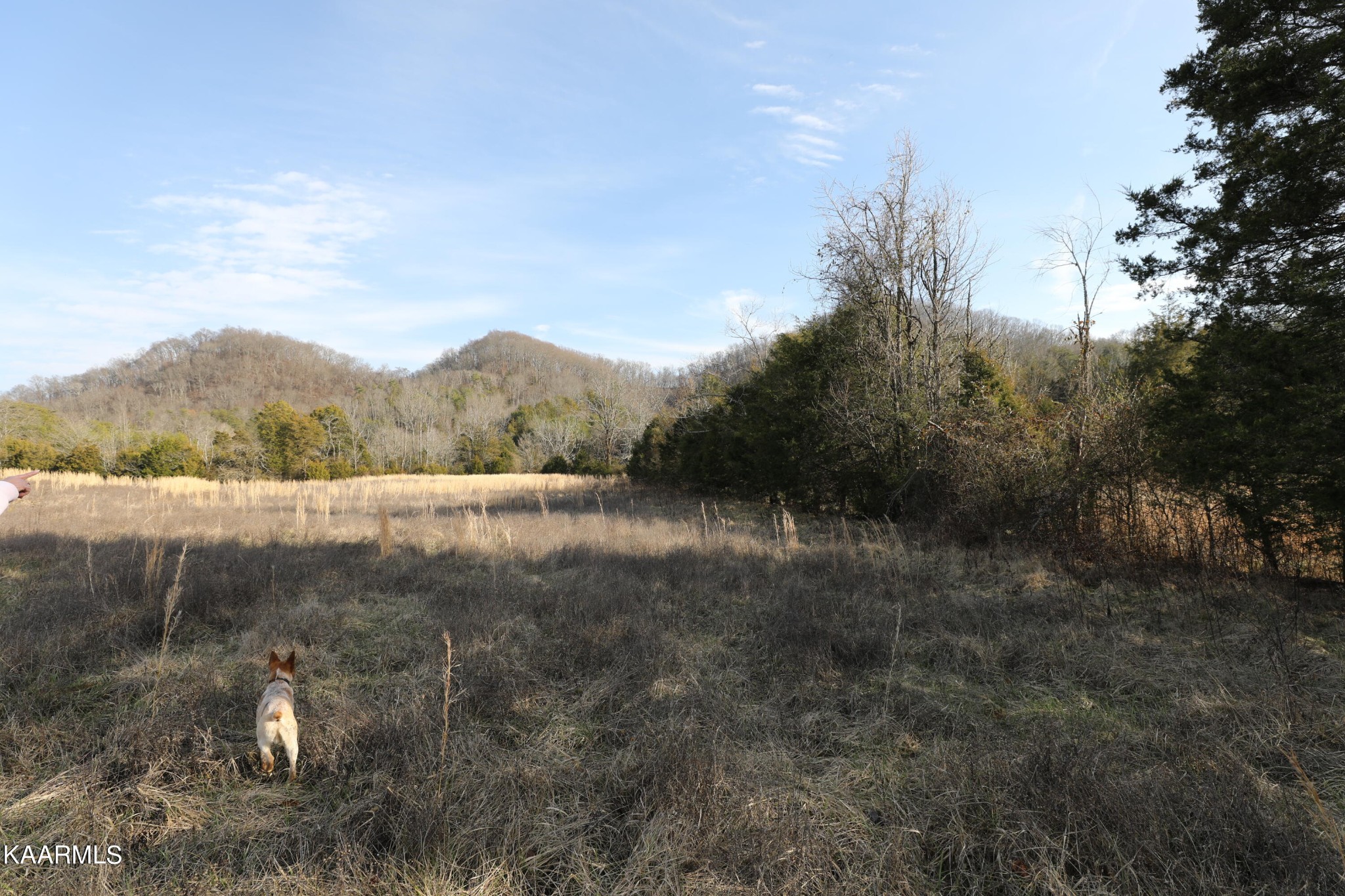 0 Sleepy Valley Road Madisonville, TN 37354 - Photo 18 of 24 Gallery Image 18