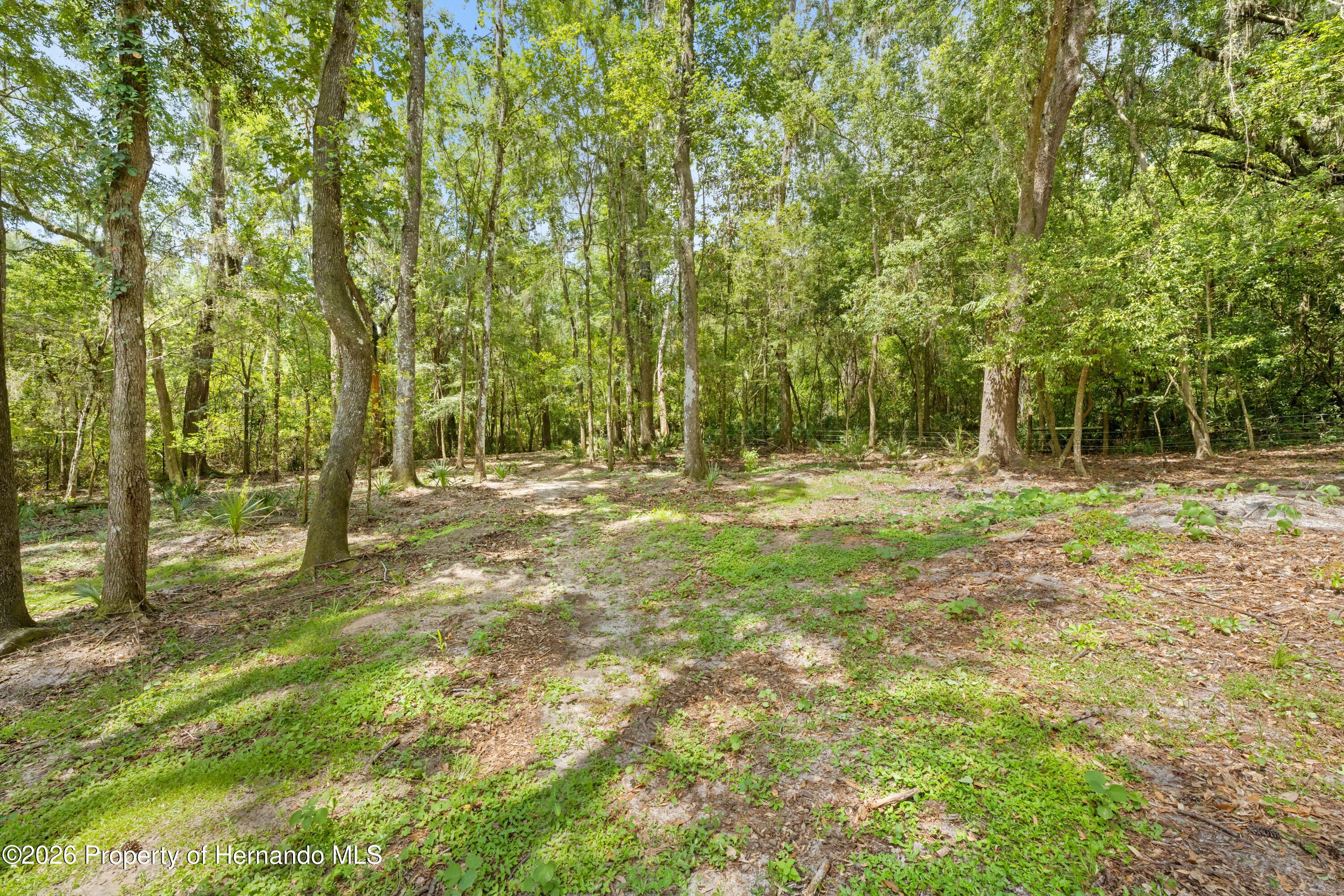3311 Baseball Pond Road Brooksville, FL 34602 - Photo 6 of 18 a backyard of a house with lots of green space