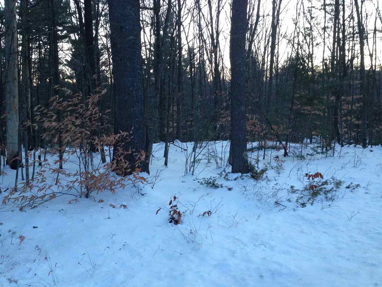 Wentworth Road New Durham, NH 03855 - Photo 2 of 3