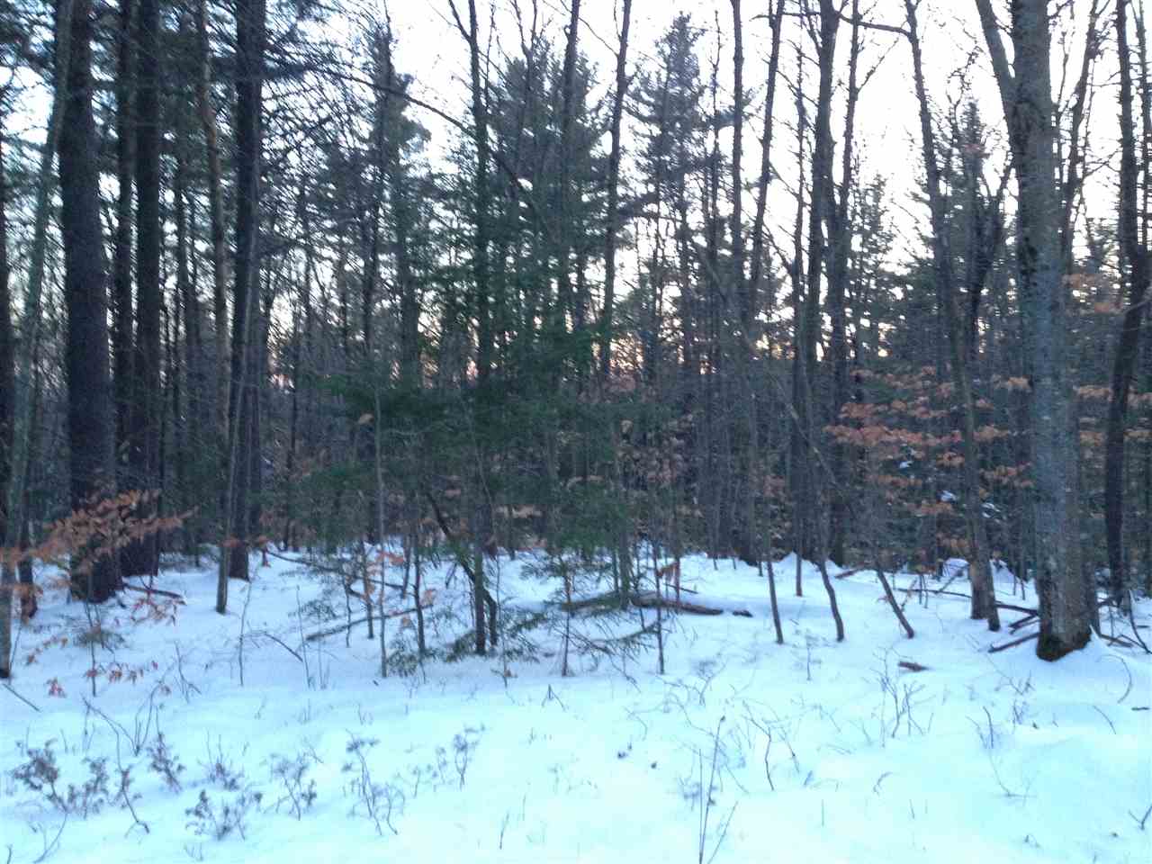 Wentworth Road New Durham, NH 03855 - Photo 3 of 3