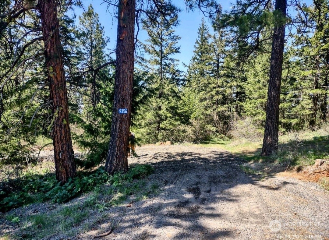 9356 Thorp Prairie Road Cle Elum, WA 98922 - Photo 7 of 11 Gallery Image 7