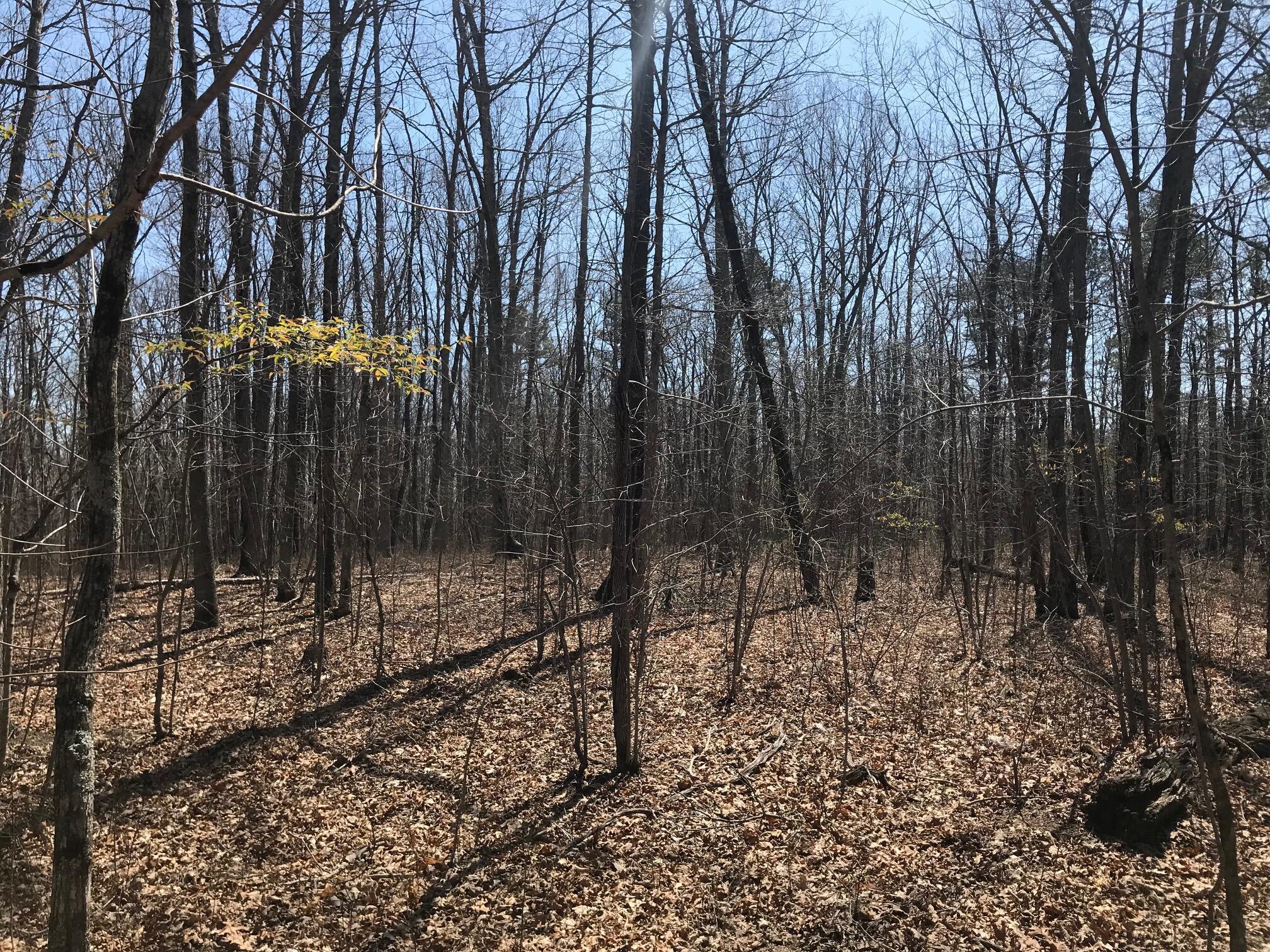 0 Greenfields Way North, Unit 13A Dunlap, TN 37327 - Photo 18 of 26 colin8