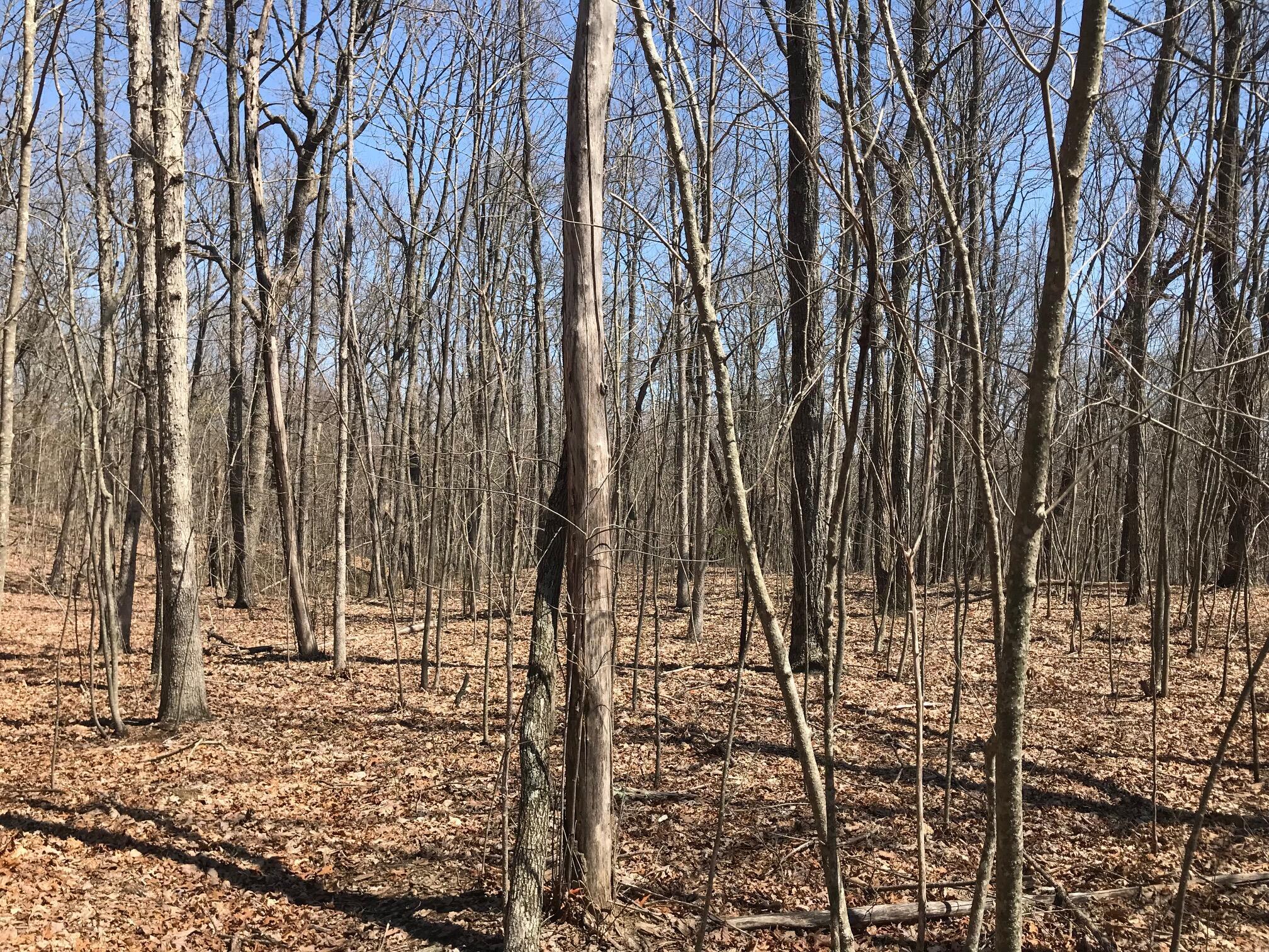 0 Greenfields Way North, Unit 13A Dunlap, TN 37327 - Photo 19 of 26 colin9