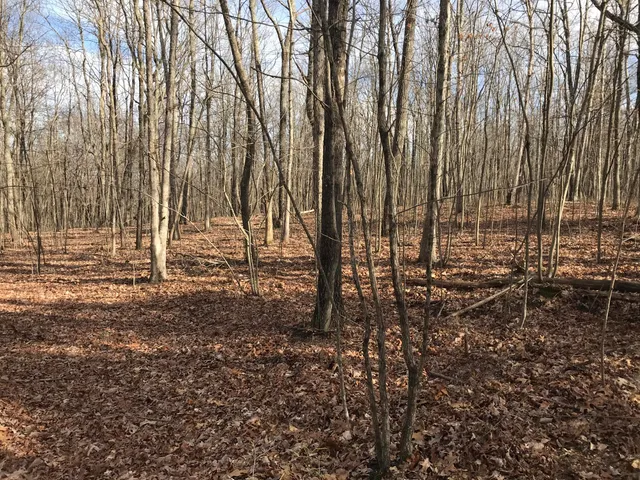 $54,900 | 0 Greenfields Way North, Unit 13A, Dunlap, TN 37327