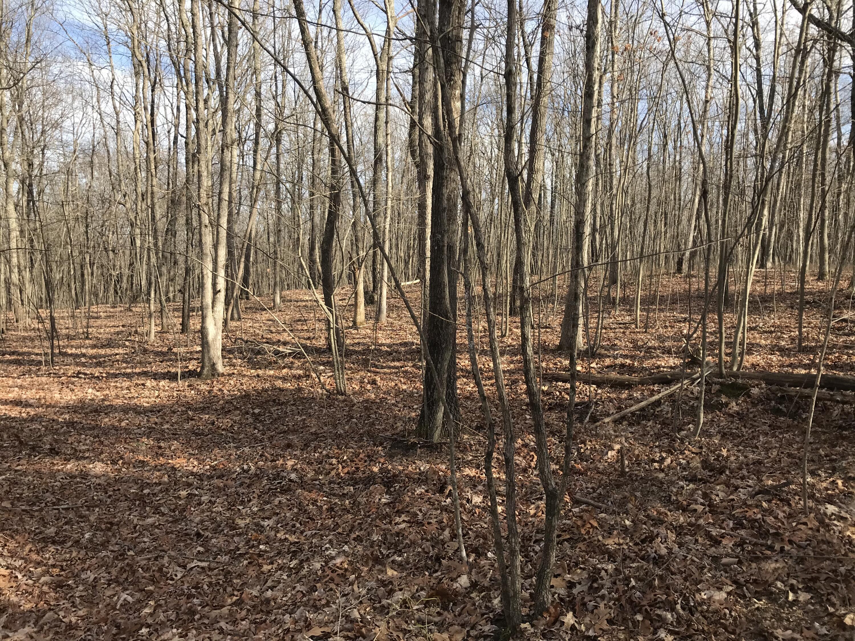 0 Greenfields Way North, Unit 13A Dunlap, TN 37327 - Photo 2 of 26 ED728E61-53DF-4E4F-A3DD-104C0685DE69